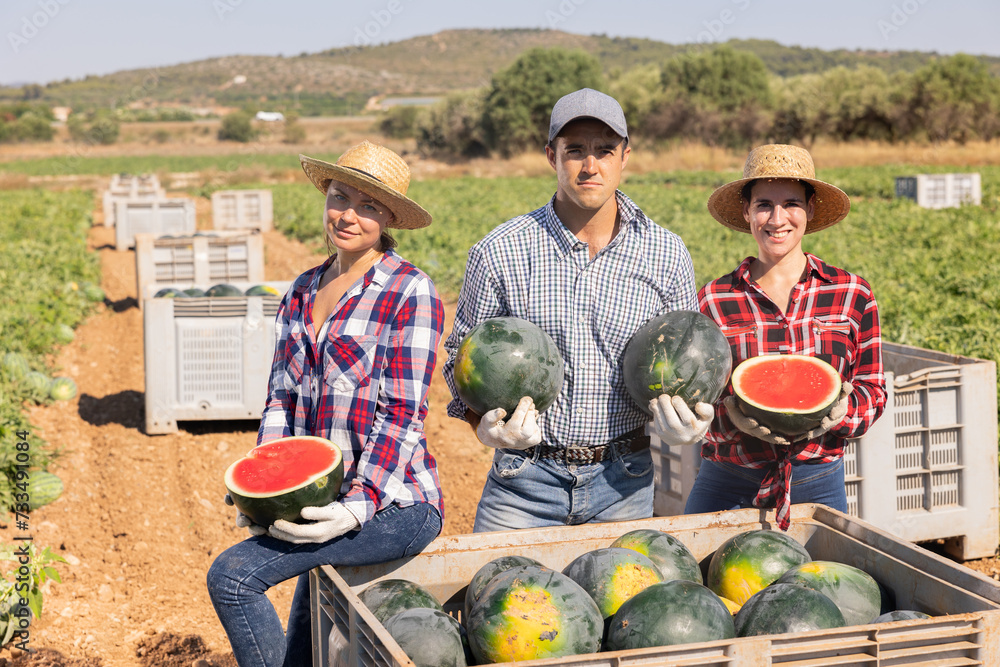 Group photo of positive farmers holding halves and whole of watermelons, smiling and looking at camera.