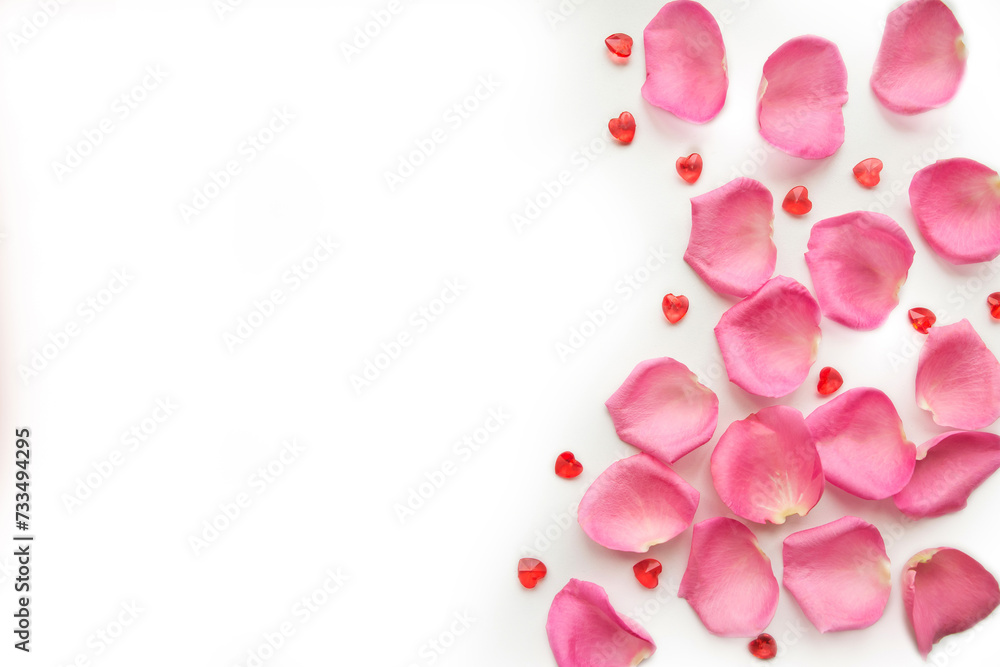 Pink rose petals on white background. Valentines Day concept. Copy space for the text