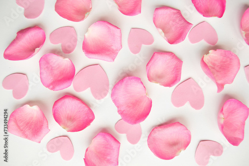 Pink rose petals on white background. Valentines Day concept