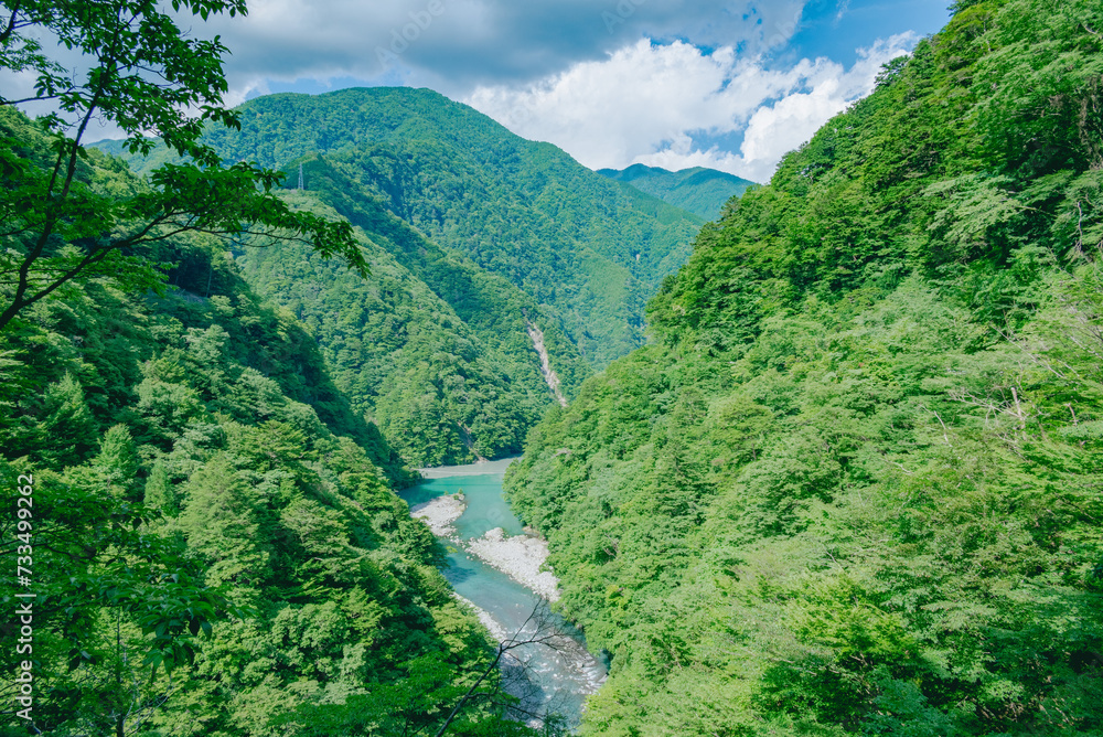 新緑に包まれる初夏の川 新緑に包まれる初夏の川