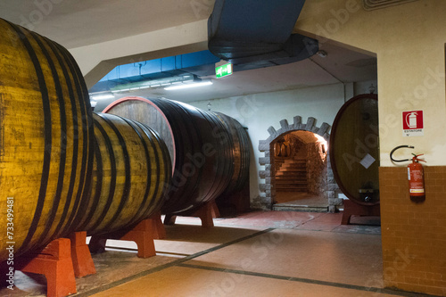 wine barrels in cellar Azienda Sella & Mosca, Alghero, SS, Sardegna, Italy photo