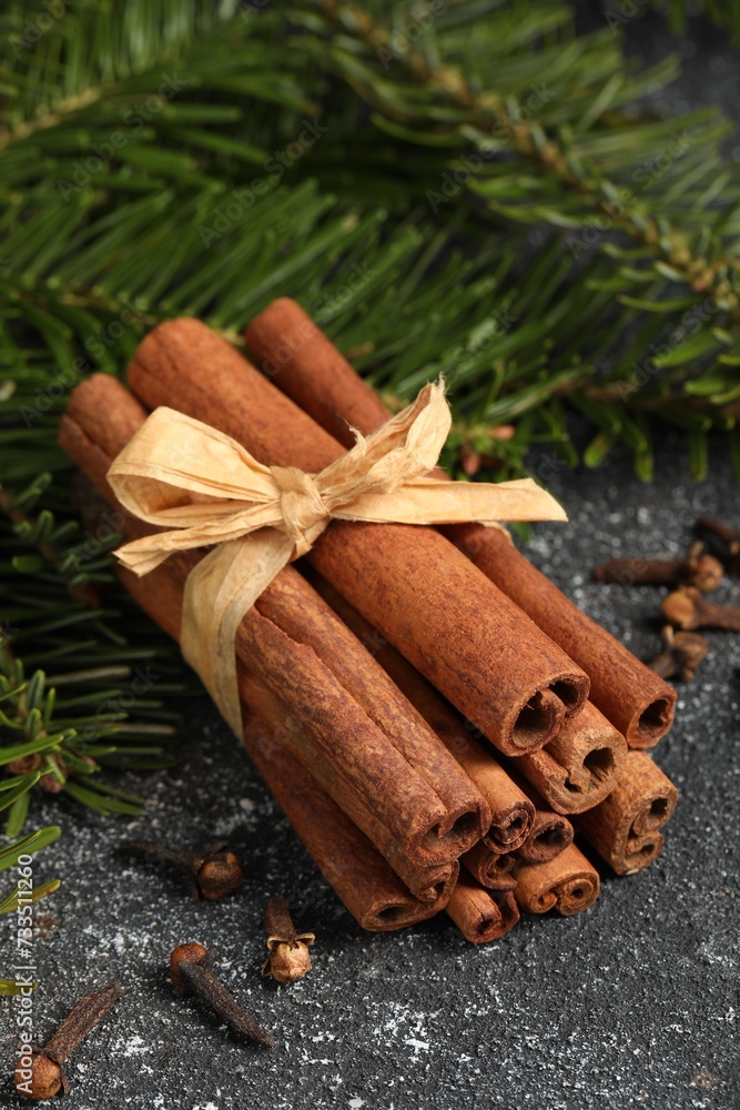 Different spices. Aromatic cinnamon sticks, clove seeds and fir branches on dark gray textured table, closeup Different spices. Aromatic cinnamon sticks, clove seeds and fir branches on dark gray textured table, closeup