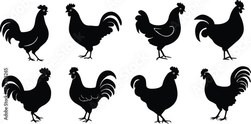 Chicken silhouettes set. Set of rooster and hen silhouettes. Vector illustration