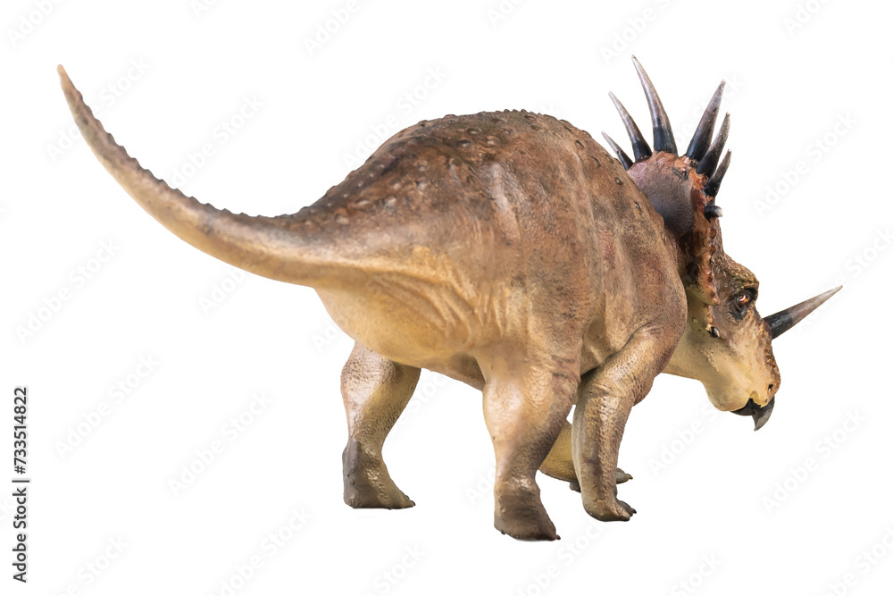 Styracosaurus dinosaur on isolated background Styracosaurus dinosaur on isolated background