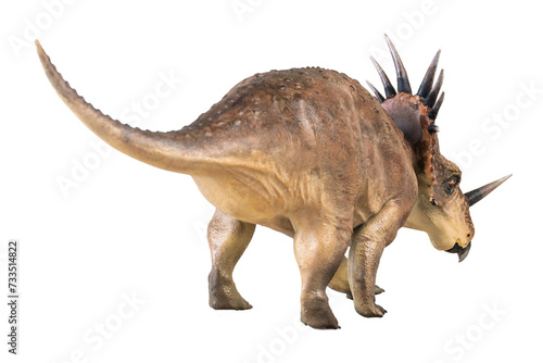 Styracosaurus dinosaur on isolated background © meen_na