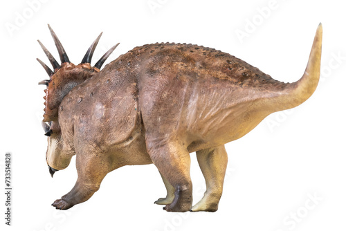 Styracosaurus dinosaur on isolated background