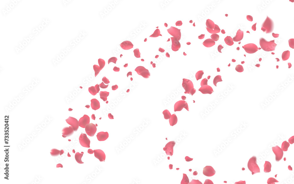 Valentine's day Vector red symbols of love border for romantic banner or Red rose petals will fall on abstract floral background with gorgeous rose greeting card design. on transparent background