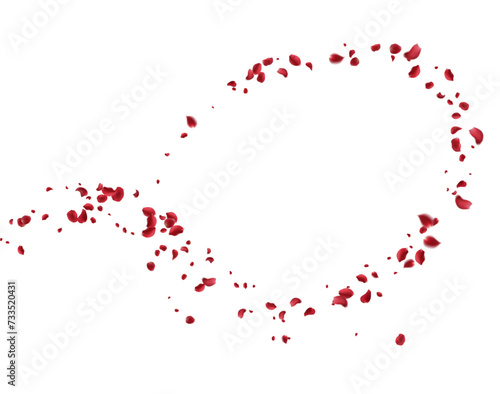 Realistic red rose petals with transparent background. Vector illustration