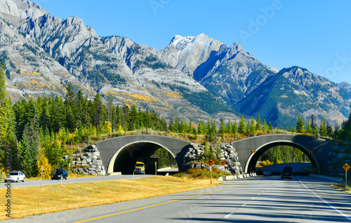 Schilderij op canvas Trans-Canada Highway in Banff National Park