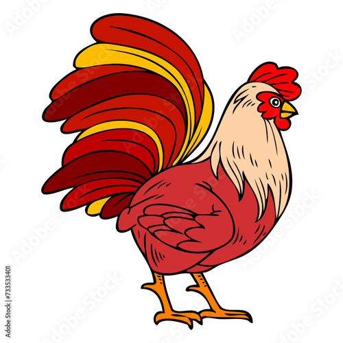 rooster vector illustration