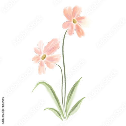 Loose watercolor pink flowers and leaves illustration