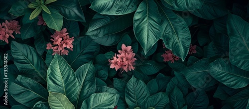 Vibrant Green Plant with Pink Flowers among a Sea of Pink Flowers and Green Plants