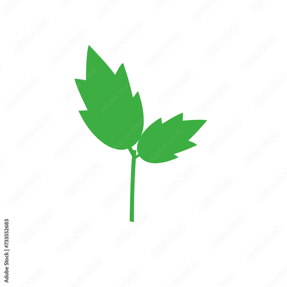 Fototapeta premium vector colored leaf elements leaf
