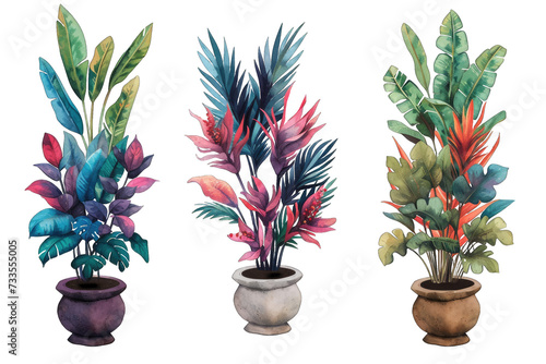 Collection of exotic tropical potted plants for the interior isolated on transparent background. Monstera, palm tree, leaves, branches. Set for design