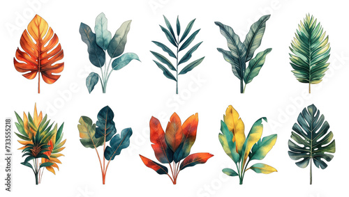 Tropical collection with exotic flowers, leaves, wild foliage, branches isolated on transparent background. Palm leaves, jungle tree, monstera, brazil tropic botany elements photo