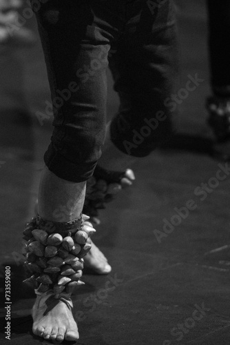 Ayoyotes (Ankle Rattles Made From Ayoyote Tree) in Zocalo, Mexico City photo