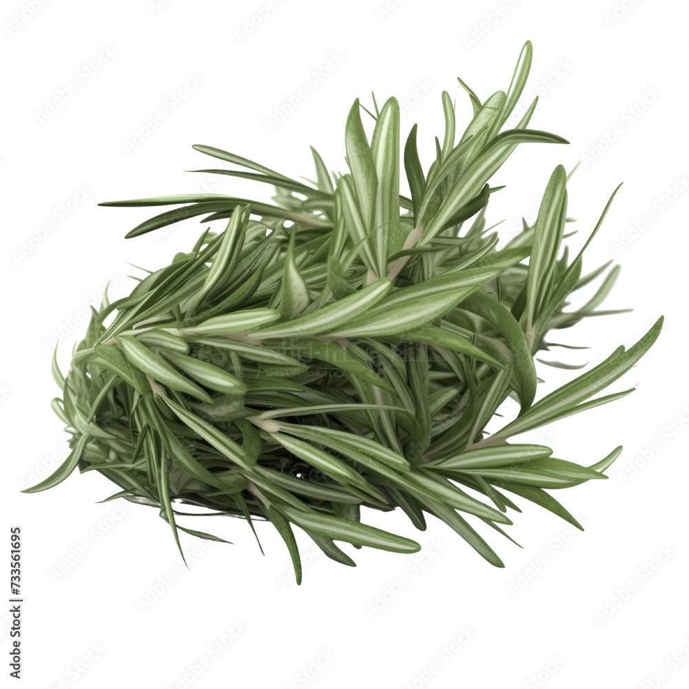 Fototapeta premium Thyme PNG Cutout, Generative AI
