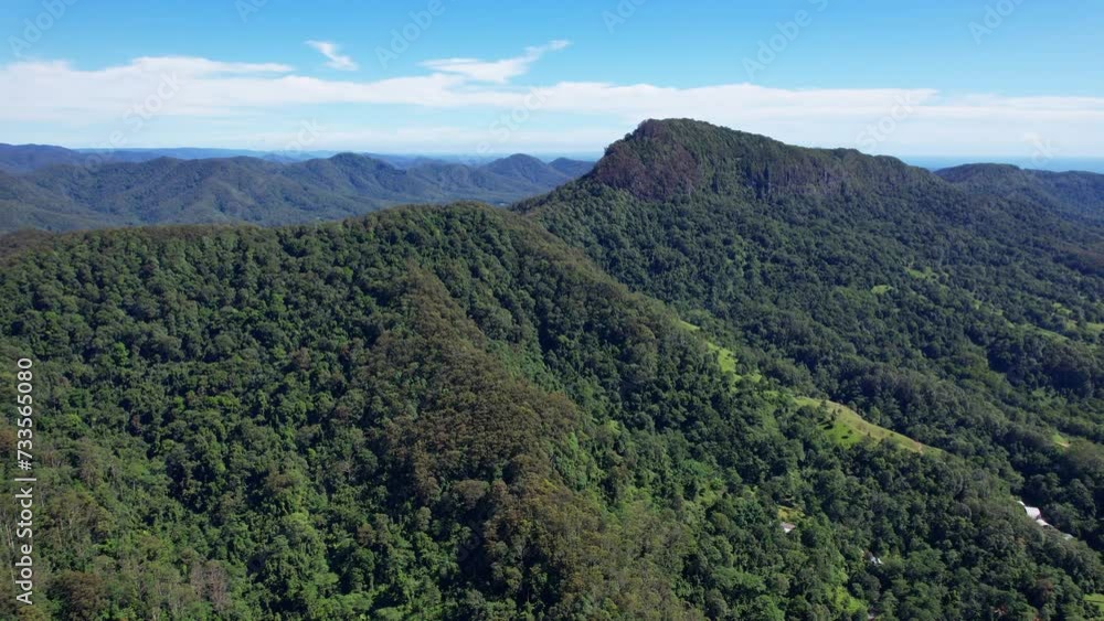 Thick Green Rainforest Of Currumbin Valley In Queensland, Australia - Aerial Shot Thick Green Rainforest Of Currumbin Valley In Queensland, Australia - Aerial Shot