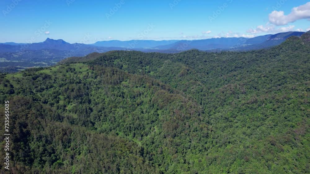 Scenery Of Green Rainforest In Currumbin Valley, Gold Coast, Queensland, Australia - Aerial Drone Shot Scenery Of Green Rainforest In Currumbin Valley, Gold Coast, Queensland, Australia - Aerial Drone Shot