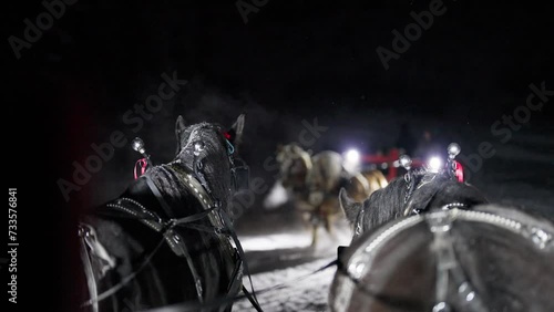 Carriages With Horses on Cold Winter Night, Slow Motion photo