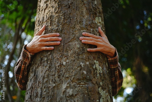 Human hands touching tree green forest in tropical woods, hug tree or protect environment, co2, net zero concept, pollution or climate change, earth day