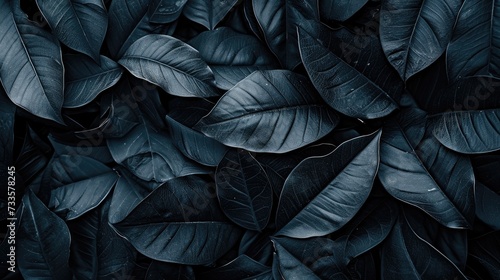 Immerse yourself in the abstract beauty of black leaves, creating a tropical leaf background. Ai Generated. photo