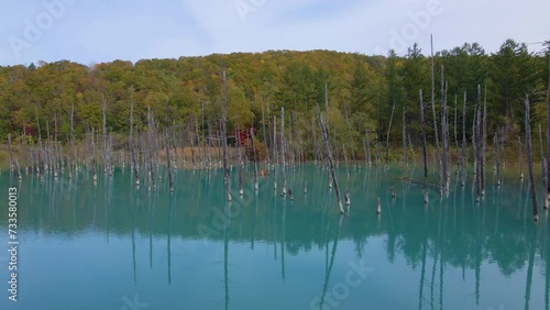 Cinematic aerial shot of Aoiike Blue Pond in Biei City in Hokkaido, Japan