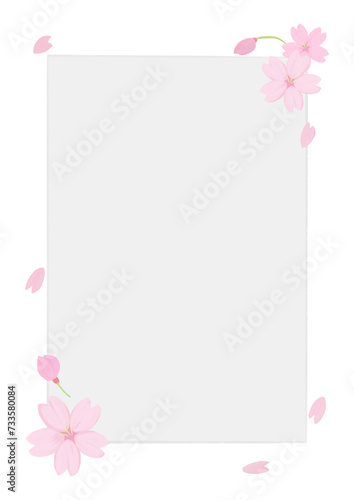 桜の花びらが舞うフレーム、アナログ手描き風味、コピースペース有り、メッセージカード、縦 © plume_ndj