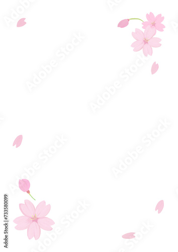 Fototapeta Naklejka Na Ścianę i Meble -  桜の花びらが舞うフレーム、アナログ手描き風味、コピースペース有り、メッセージカード、縦