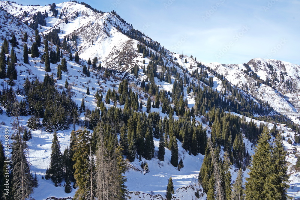 A mountain slope with different vegetation and snow.