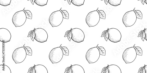 Hand drawn vector seamless pattern with etching lemon or lime, leaves in engraved style. Vector black and white repeat backdrop