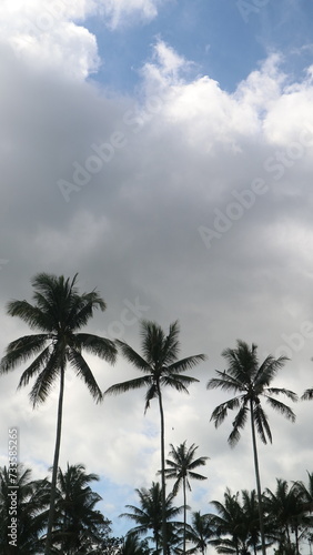 Low angle view of palm trees against cloudy sky © Wahjoekris