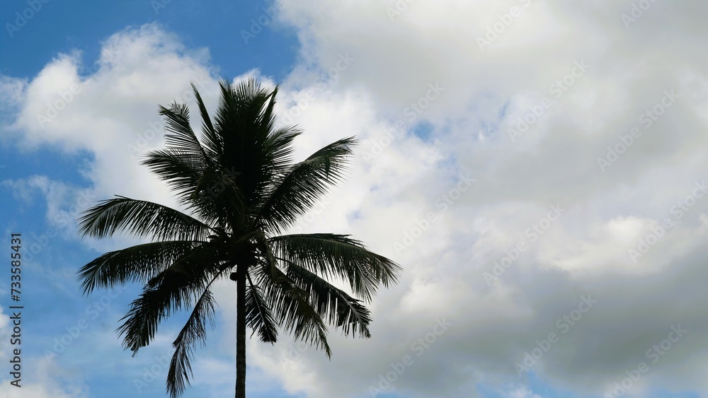Low angle view of palm trees against cloudy sky Low angle view of palm trees against cloudy sky