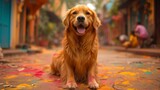 Golden Retriever Sitting in the Middle of a Street
