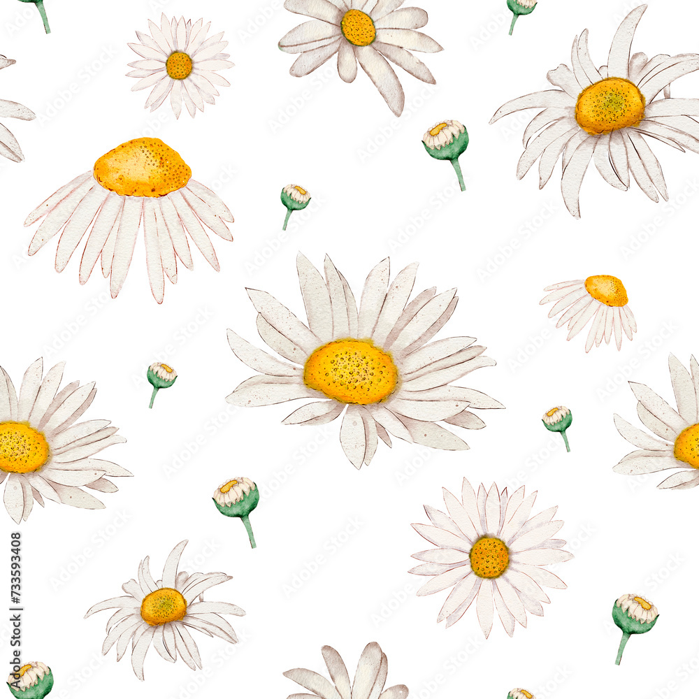 Chamomile pattern on a white background. Chamomile flowers are suitable for printing and prints on various products. Chamomile pattern on a white background. Chamomile flowers are suitable for printing and prints on various products.