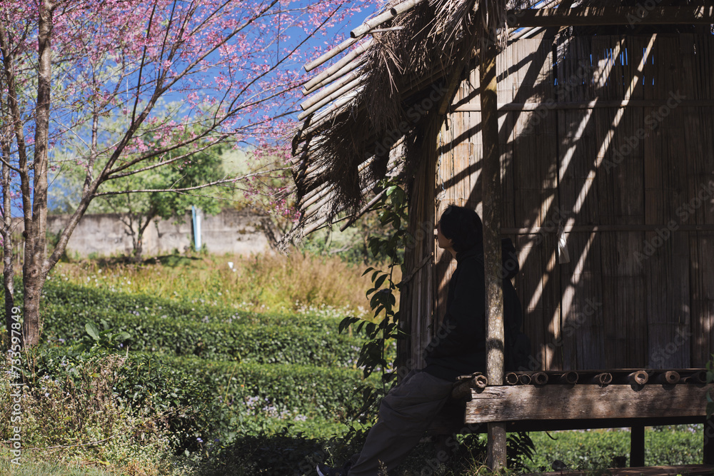travel and work concept with solo freelancer man sit in cabin under cherry blossom tree and relax with layer of mountain background travel and work concept with solo freelancer man sit in cabin under cherry blossom tree and relax with layer of mountain background