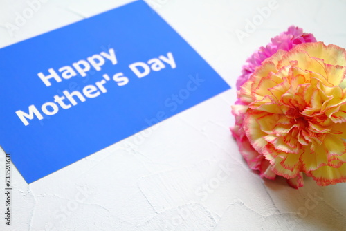 Mother's day background with pink carnation