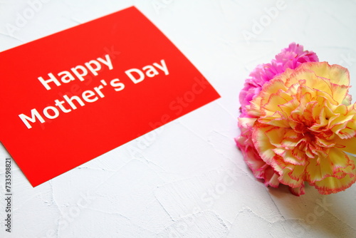 Mother's day background with pink carnation