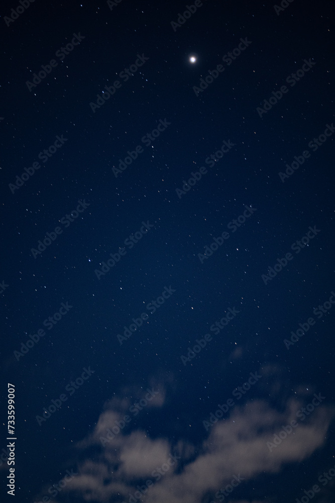 冬の星空 冬の星空