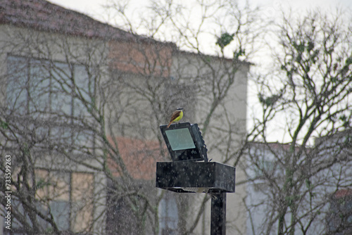 singing under the rain