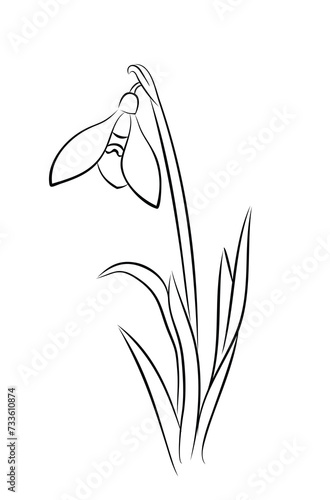 The sketch of field flower.