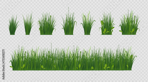 3d grass. Green weed garden, farm field landscape or spring sprout border, outdoor lawn meadow or park. Isolated decor realistic elements. Summer herbal landscape. Vector design background