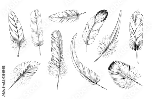 Vintage feathers. Black white sketch drawing isolated decorative element, graphic pattern of nature art, fluffy soft retro bird plumage, lightness symbol. Vector abstract illustration