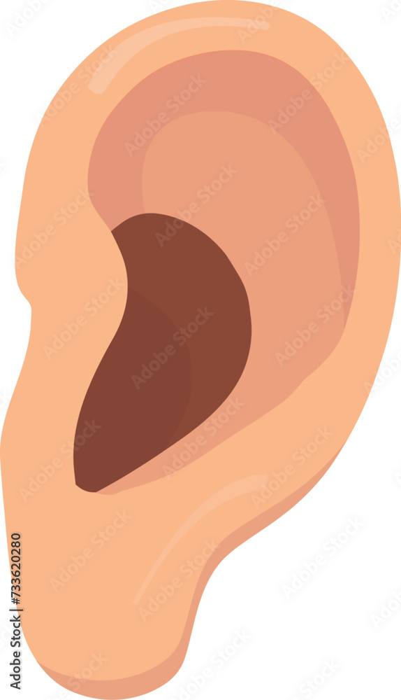 isolated human ear on white background isolated human ear on white background