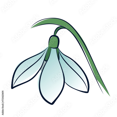 The sketch of field flower.