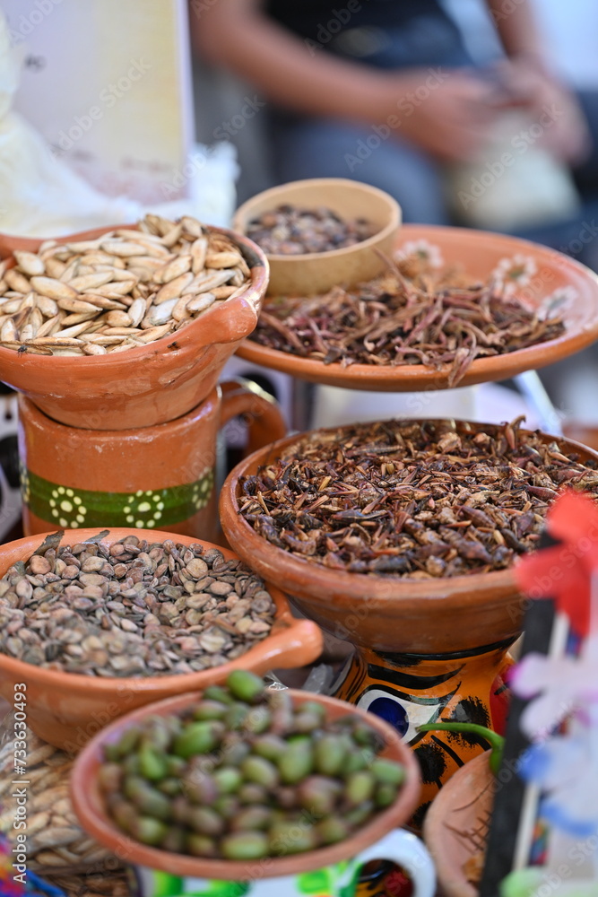 Fototapeta premium Insectos y semillas asadas comida prehispánica, comida mexicana