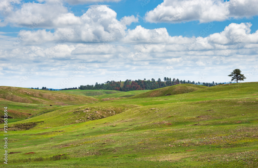 Prairies and Grasslands of Wind Cave National Park in South Dakota