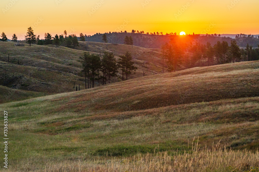 Fototapeta premium Prairies and Grasslands of Wind Cave National Park in South Dakota