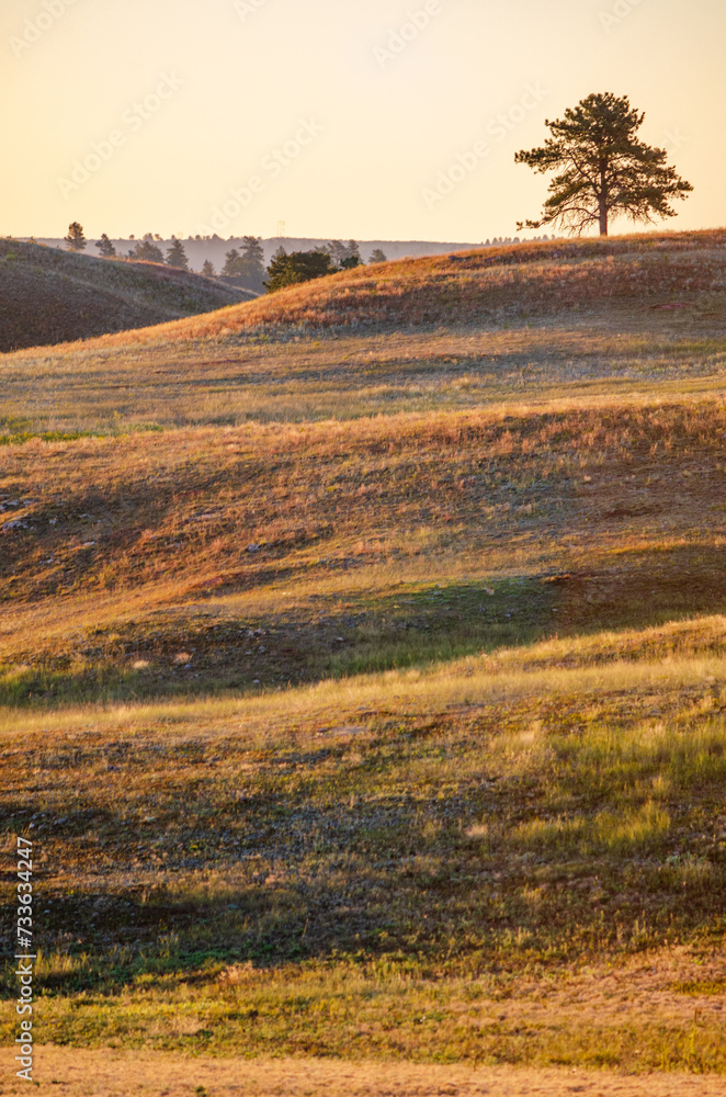 Prairies and Grasslands of Wind Cave National Park in South Dakota Prairies and Grasslands of Wind Cave National Park in South Dakota