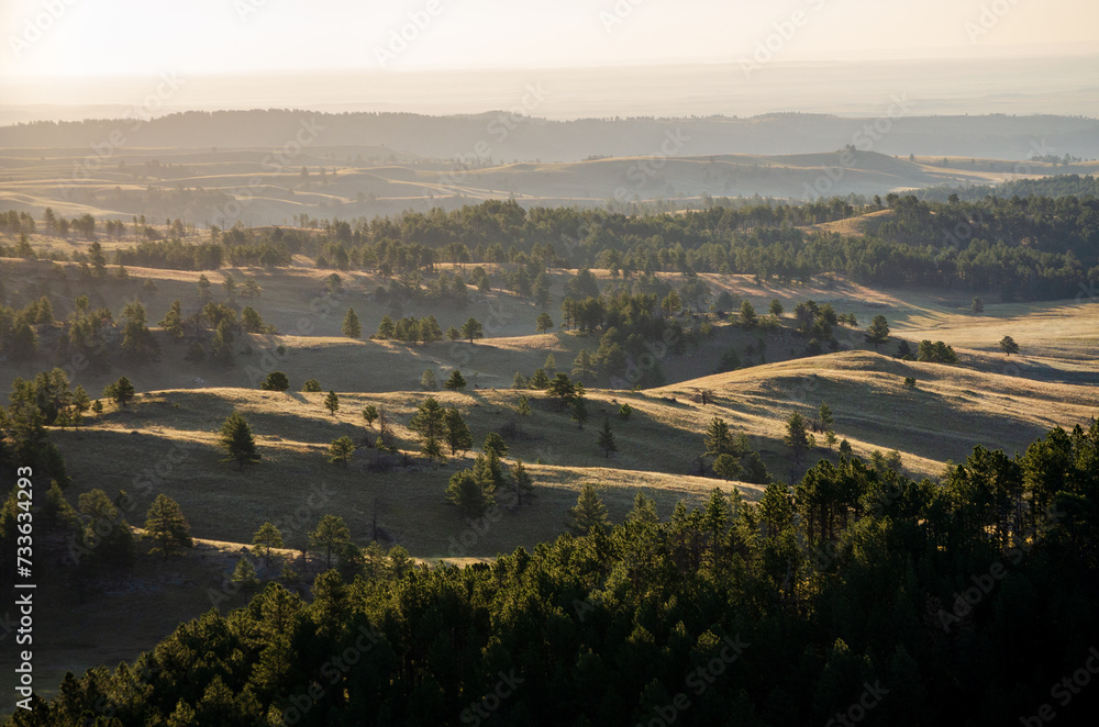 Prairies and Grasslands of Wind Cave National Park in South Dakota